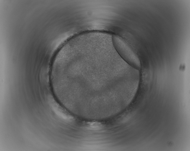 X0000113940395200910231948