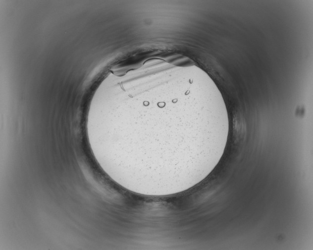 X0000113940396200910231948