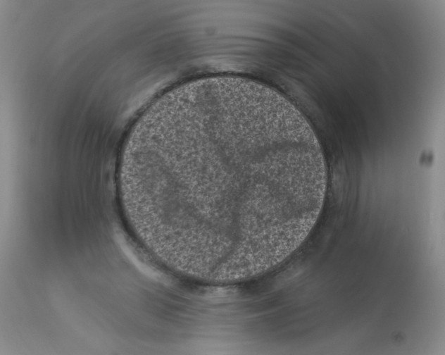 X0000113940398200910231948