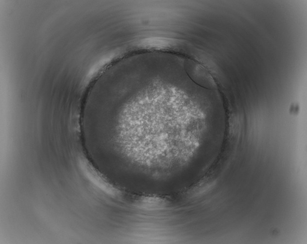 X0000113940399200910231948