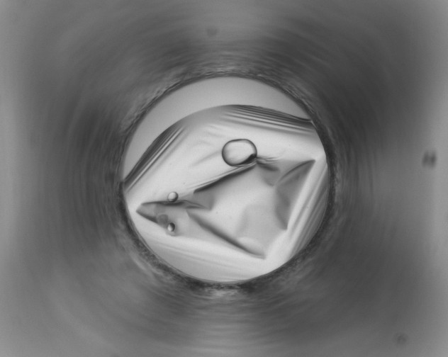 X0000113940401200910231948