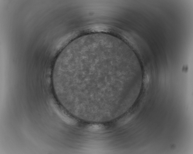 X0000113940402200910231948