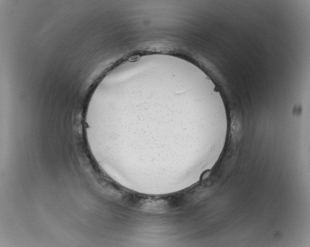 X0000113940403200910231948