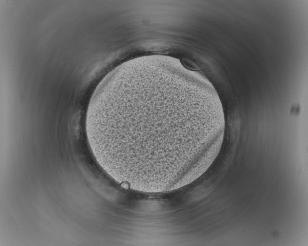 X0000113940404200910231948