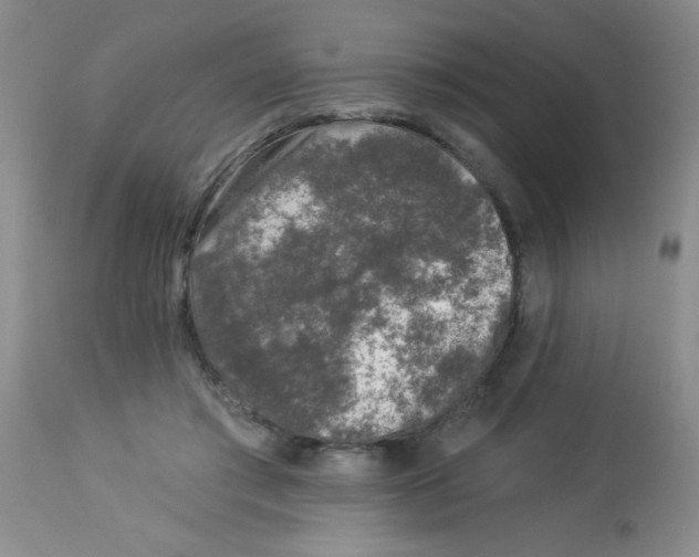 X0000113940405200910231948
