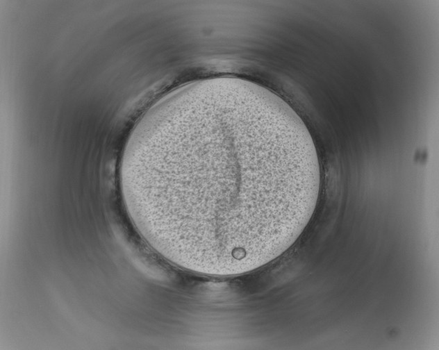 X0000113940406200910231948