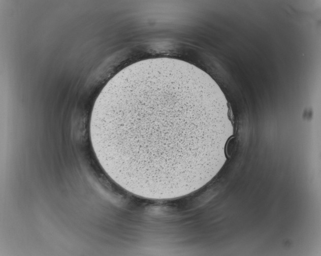 X0000113940408200910231948