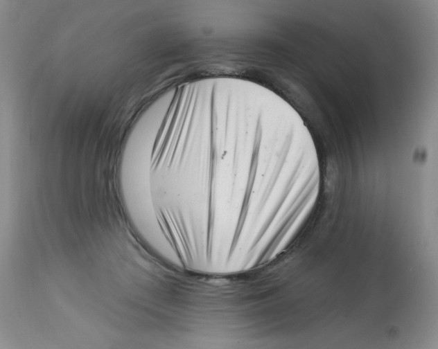 X0000113940409200910231948