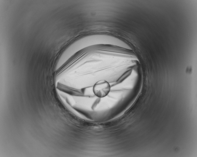 X0000113940411200910231948