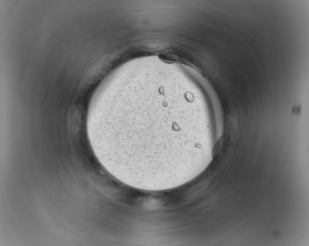 X0000113940412200910231948