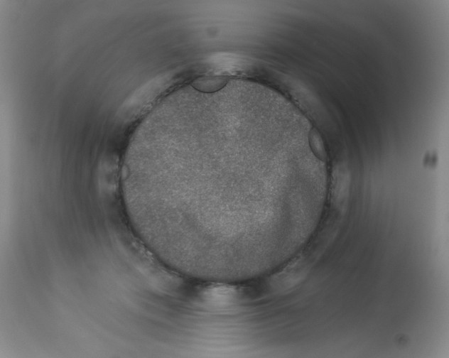 X0000113940413200910231948