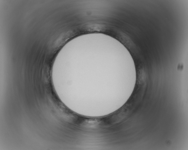 X0000113940414200910231948