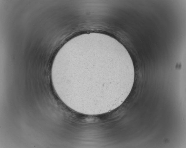 X0000113940415200910231948