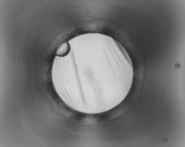 X0000113940416200910231948