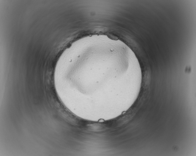 X0000113940417200910231948