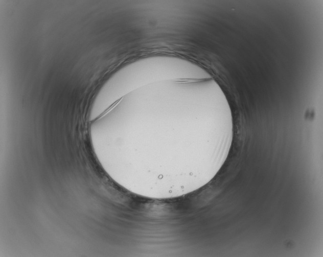 X0000113940419200910231948