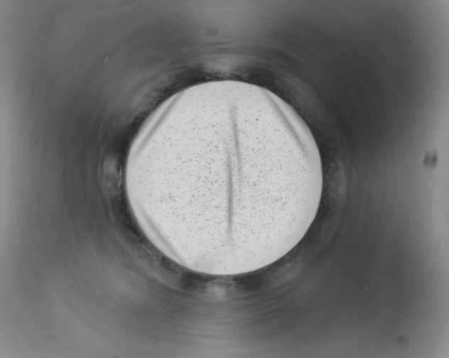 X0000113940420200910231948
