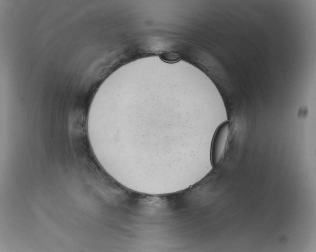 X0000113940421200910231948