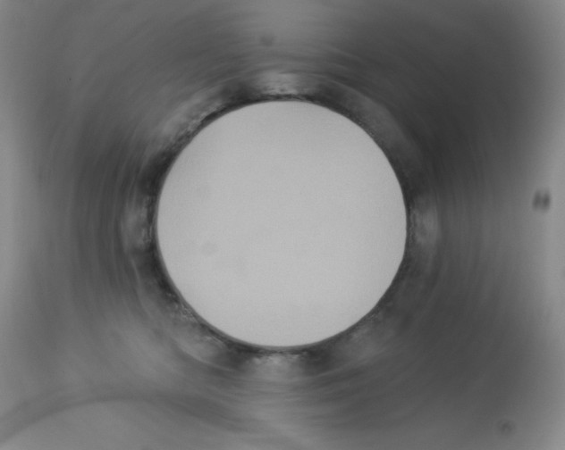 X0000113940422200910231948