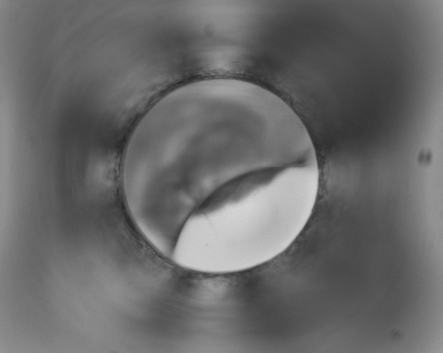 X0000113940423200910231948