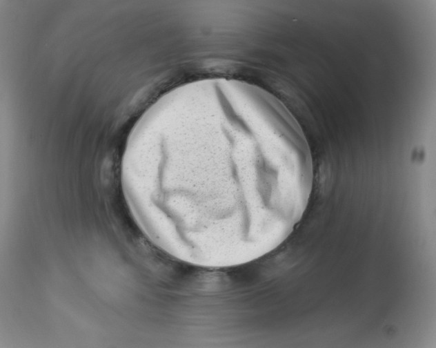 X0000113940424200910231948