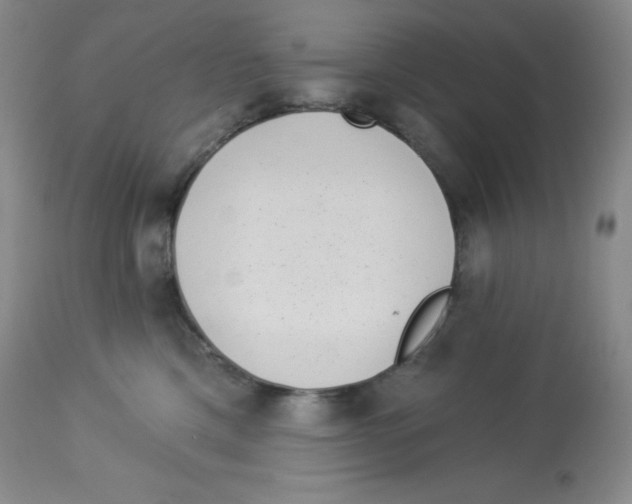 X0000113940425200910231948