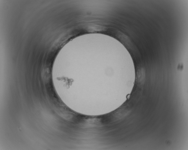 X0000113940426200910231948