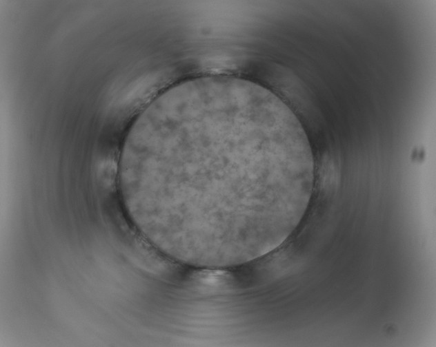 X0000113940427200910231948