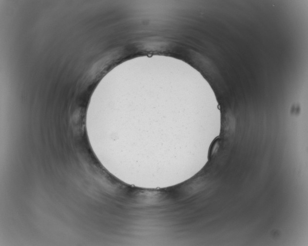 X0000113940428200910231948