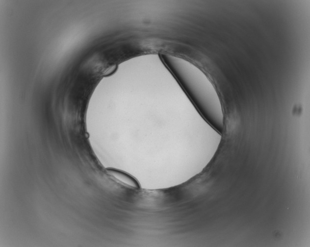 X0000113940429200910231948