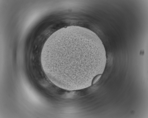 X0000113940430200910231948