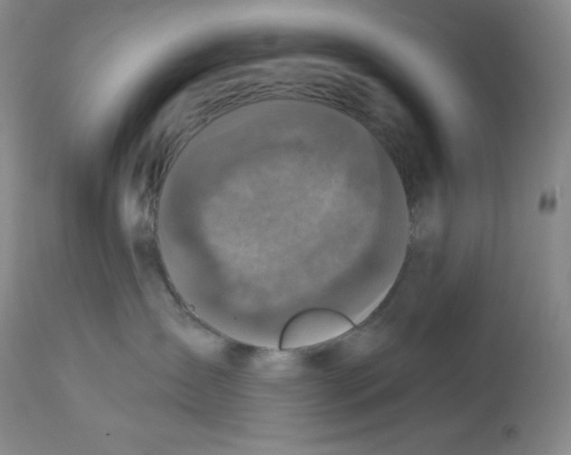 X0000113940431200910231948