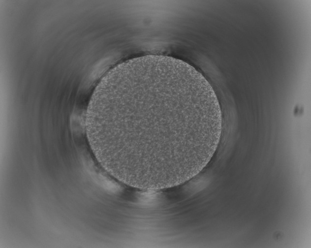X0000113940432200910231948