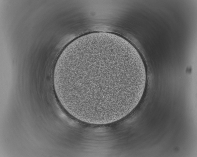 X0000113940433200910231947