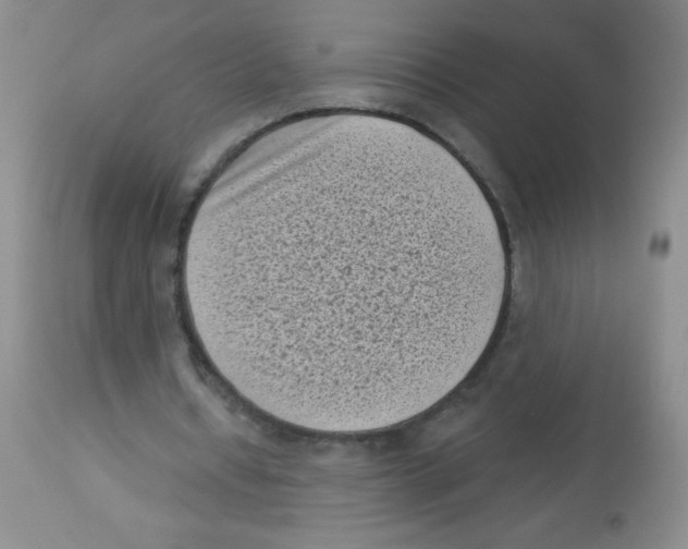 X0000113940434200910231947
