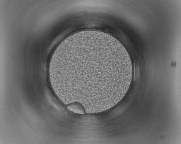 X0000113940435200910231947