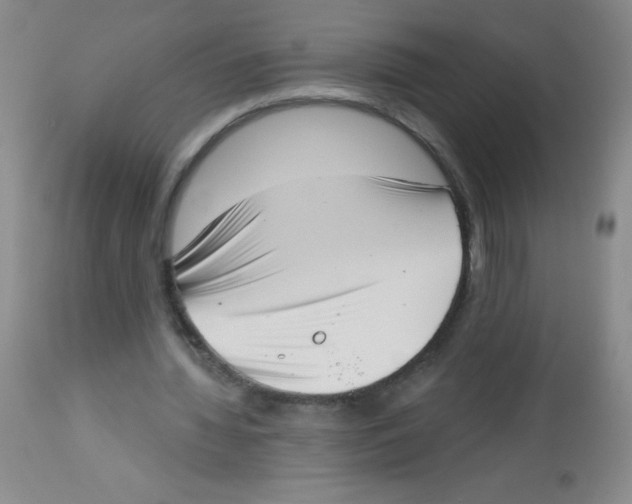 X0000113940436200910231947