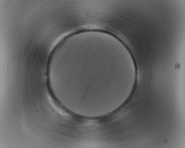 X0000113940438200910231947