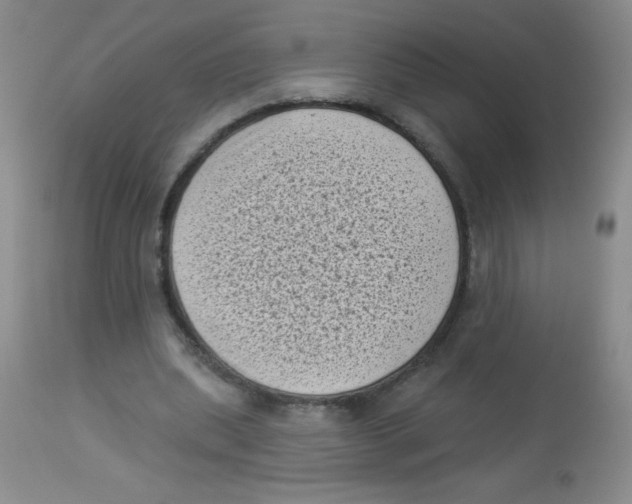 X0000113940439200910231947