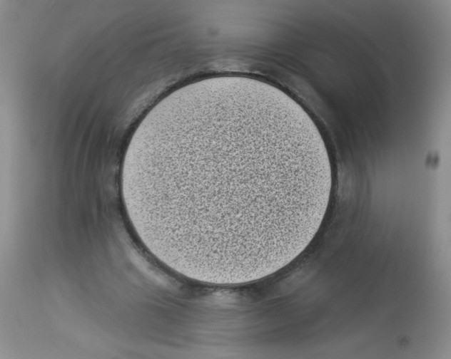 X0000113940441200910231947
