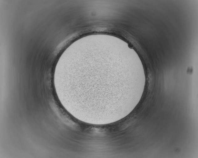 X0000113940442200910231947