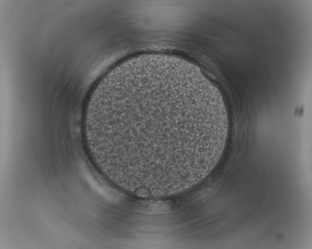 X0000113940443200910231947