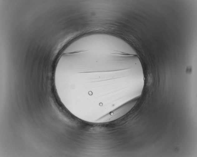 X0000113940444200910231947