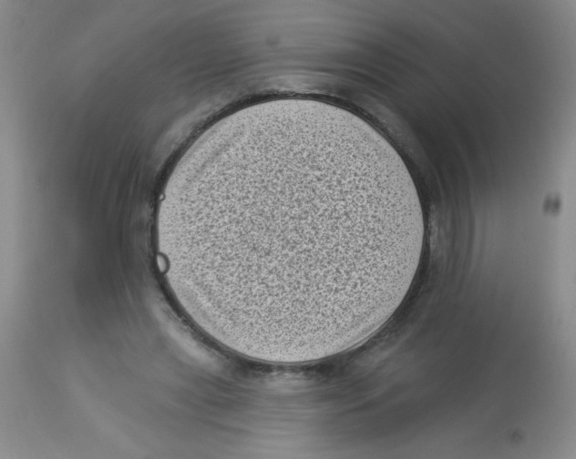 X0000113940445200910231947