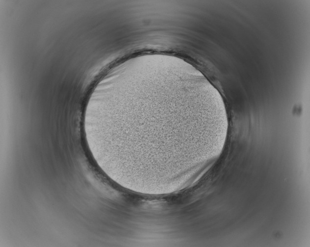 X0000113940446200910231947