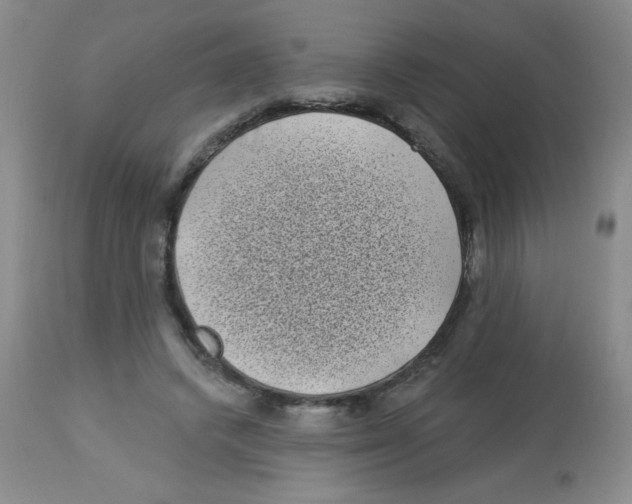 X0000113940448200910231947