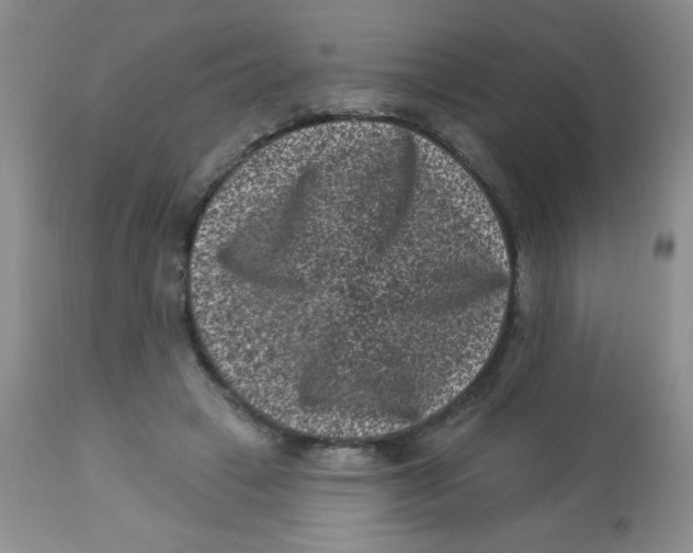 X0000113940449200910231947