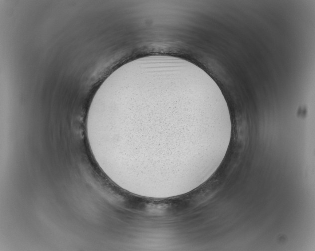 X0000113940450200910231947