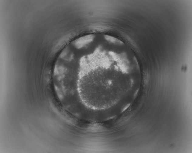 X0000113940451200910231947