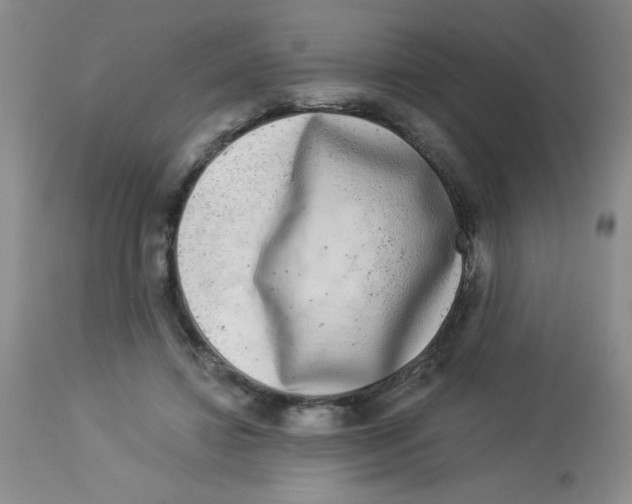 X0000113940452200910231947